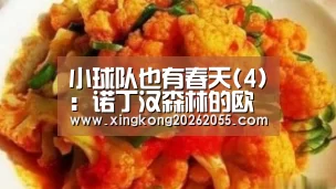小球队也有春天(4):诺丁汉森林的欧冠奇迹有可能被复制吗?“星空竞猜”(图2) 星空电竞