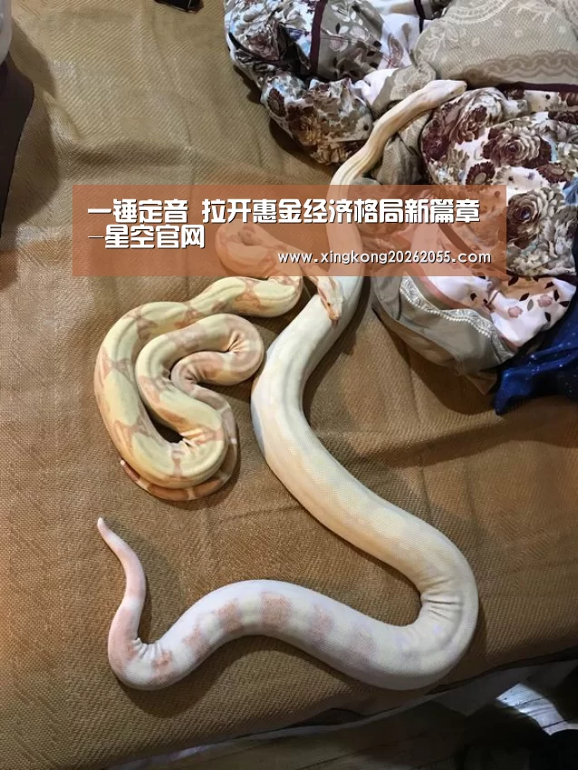 一锤定音 拉开惠金经济格局新篇章-星空官网(图1) 星空电竞