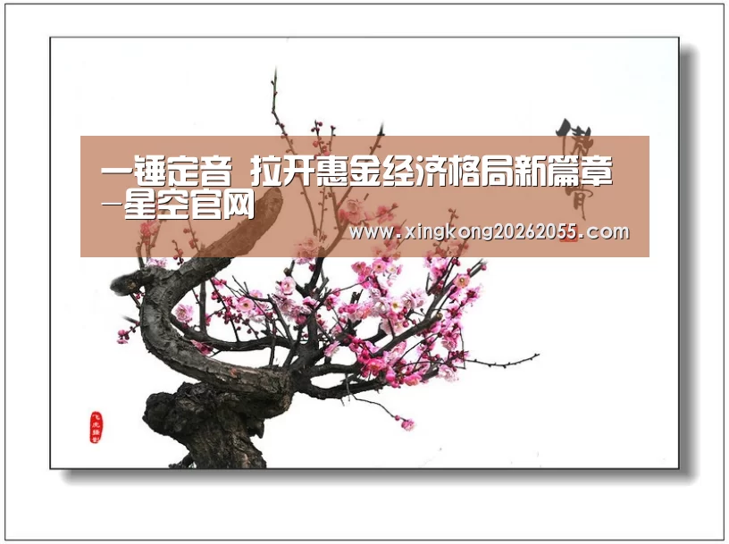 一锤定音 拉开惠金经济格局新篇章-星空官网(图3) 星空电竞