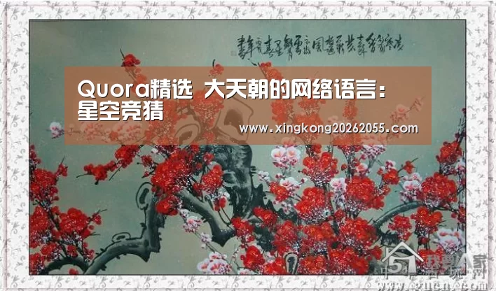 Quora精选 大天朝的网络语言:星空竞猜(图2) 星空下载