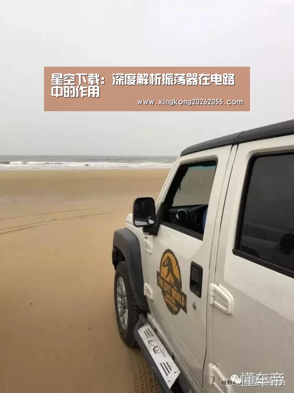 星空下载:深度解析振荡器在电路中的作用(图3) 星空官网