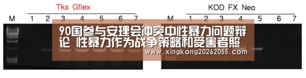 90国参与安理会冲突中性暴力问题辩论 性暴力作为战争策略和受害者照顾问题备受关注|星空下载(图3) 星空竞猜