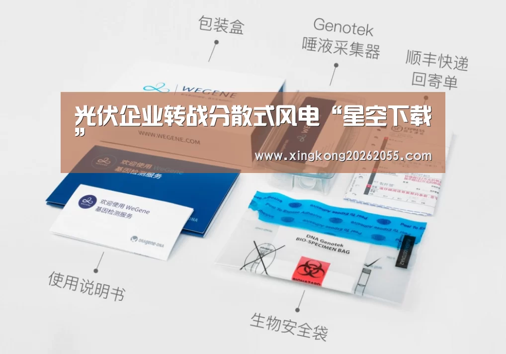 光伏企业转战分散式风电“星空下载”(图3) 星空竞猜