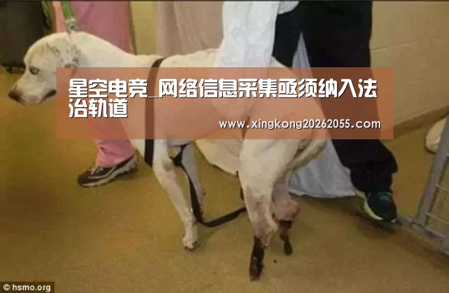 星空电竞_网络信息采集亟须纳入法治轨道(图1) 星空官网