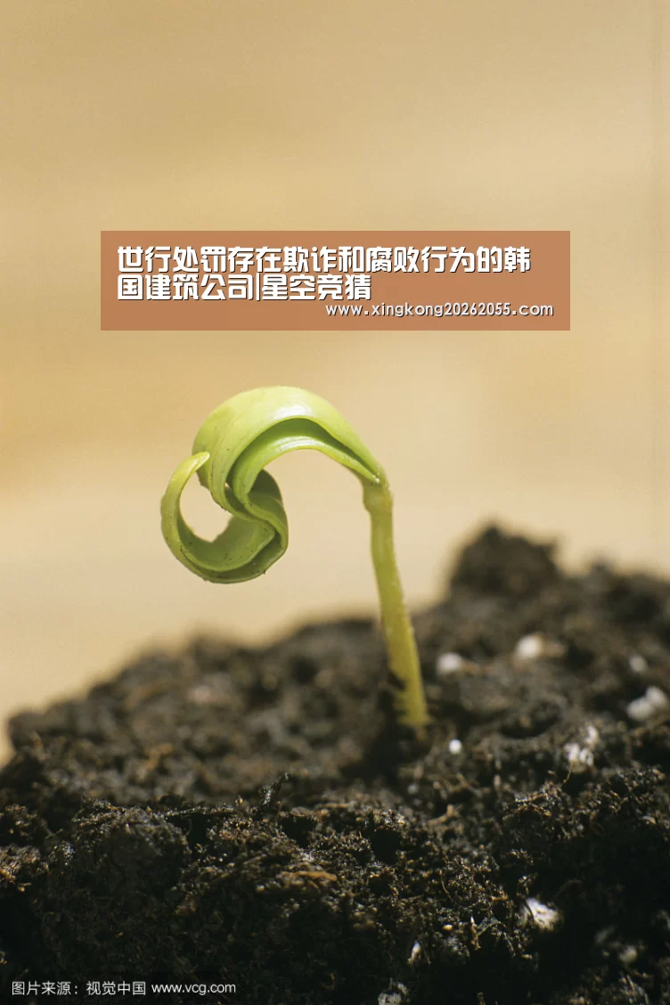 世行处罚存在欺诈和腐败行为的韩国建筑公司|星空竞猜(图1) 星空竞猜