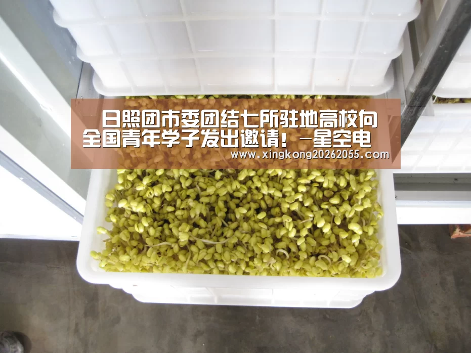 日照团市委团结七所驻地高校向全国青年学子发出邀请!-星空电竞(图1) 星空下载