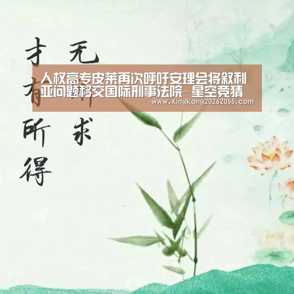 人权高专皮莱再次呼吁安理会将叙利亚问题移交国际刑事法院-星空竞猜(图2) 星空电竞
