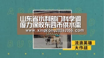 山东省水利部门科学调度力保胶东四市供水需求“星空官网”(图3) 星空官网