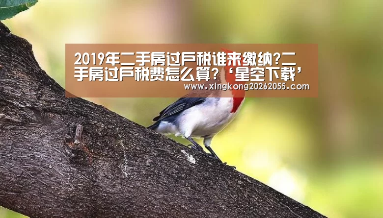星空竞猜